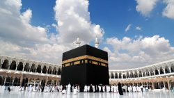 تفسير حلم رؤية الحمام في الحرم المكي في المنام