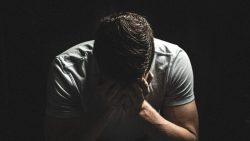 تفسير حلم الشجار مع حبيبي السابق  في المنام