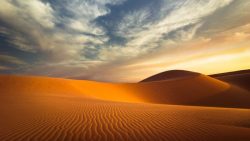 تفسير حلم الضياع في الصحراء  في المنام
