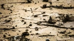 تفسير حلم غرق المسجد بالوحل في المنام