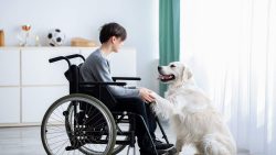 تفسير حلم إصابة شخص بالشلل في المنام