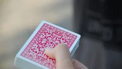 تفسير حلم امي دخل فيها جني في المنام
