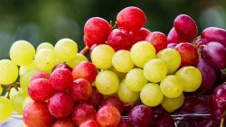 تفسير حلم اكل عنب أخضر طعمه حلو  في المنام