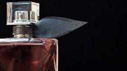 تفسير حلم اني اشتري عطر في المنام