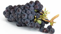 تفسير حلم اكل عنب أخضر طعمه حلو في المنام