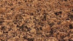 تفسير حلم الوقوع في حفرة طين في المنام