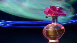 تفسير حلم زوجي اشترى لي عطر في المنام