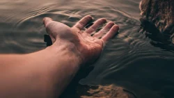 تفسير حلم المشي على البحر مع الحبيب في المنام
