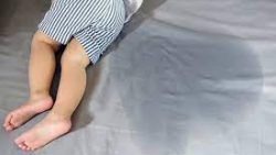 تفسير حلم شخص يتبول على الأرض في المنام